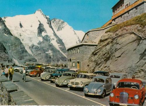 Großglockner Käfer